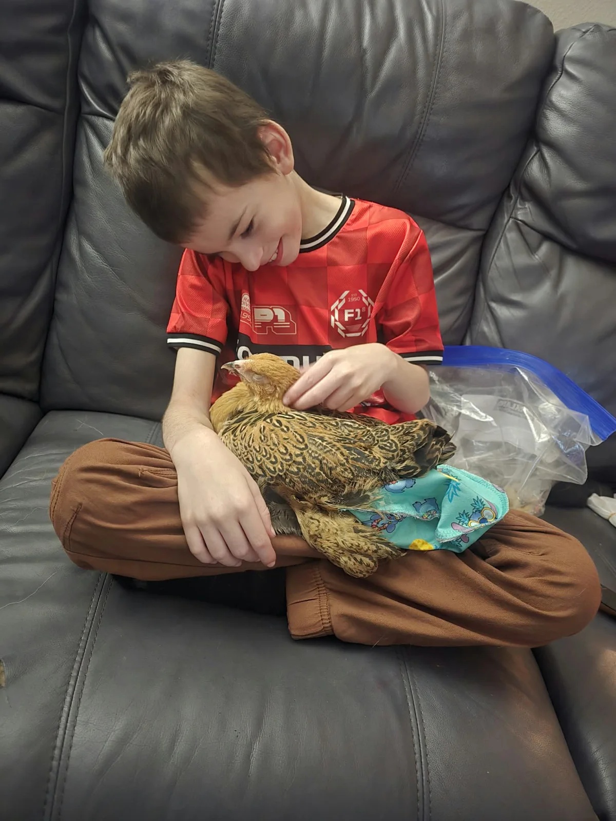 Un enfant flatte une poule qui porte une couche turquoise sur le divan